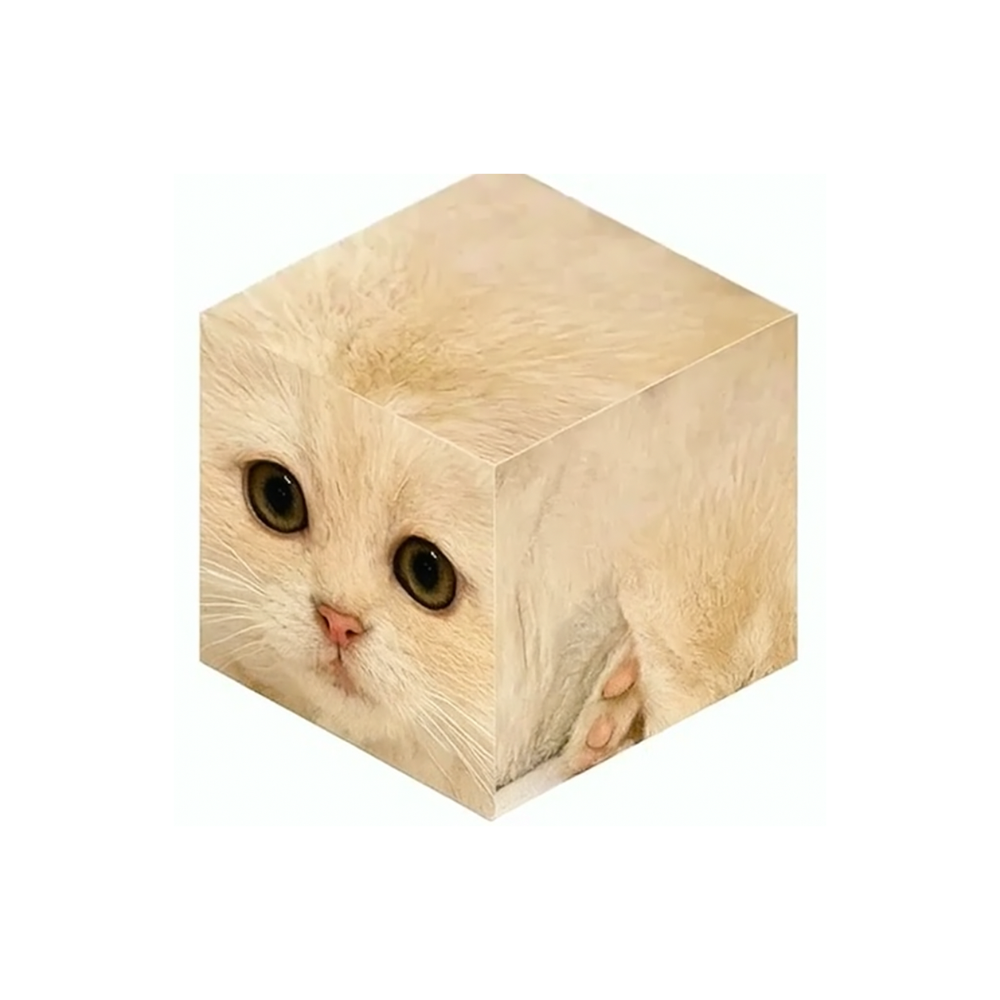 Cube Cat